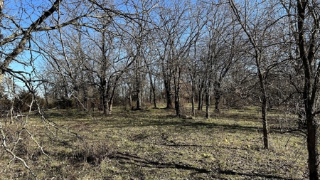 Land For Sale - image 12