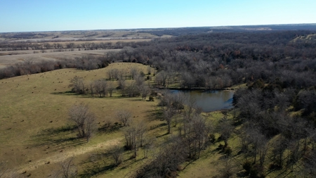 Land For Sale - image 10