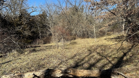 Land For Sale - image 15