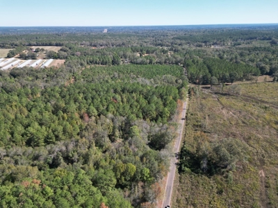Great Timberland/Hunting Tract in Southwest Mississippi - image 12