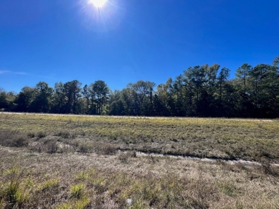 Great Timberland/Hunting Tract in Southwest Mississippi - image 6