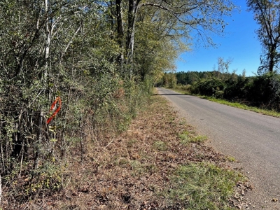 Great Timberland/Hunting Tract in Southwest Mississippi - image 18