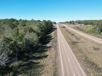 Great Timberland/Hunting Tract in Southwest Mississippi - image 3