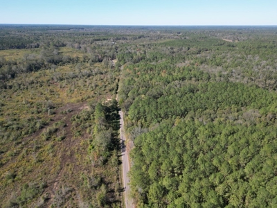Great Timberland/Hunting Tract in Southwest Mississippi - image 13