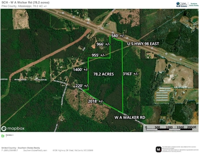 Great Timberland/Hunting Tract in Southwest Mississippi - image 21