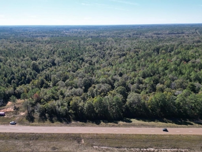 Great Timberland/Hunting Tract in Southwest Mississippi - image 1