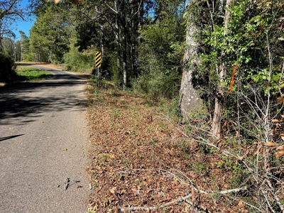 Great Timberland/Hunting Tract in Southwest Mississippi - image 19