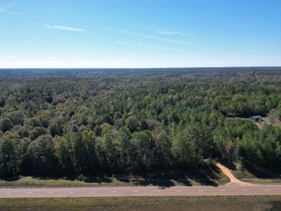 Great Timberland/Hunting Tract in Southwest Mississippi - image 5