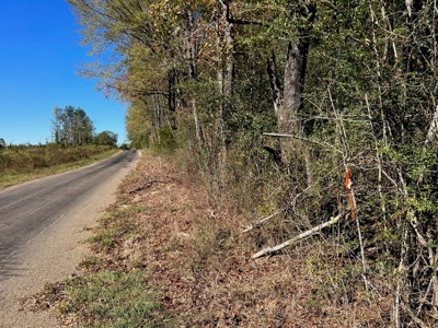 Great Timberland/Hunting Tract in Southwest Mississippi - image 16