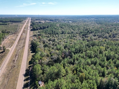 Great Timberland/Hunting Tract in Southwest Mississippi - image 2