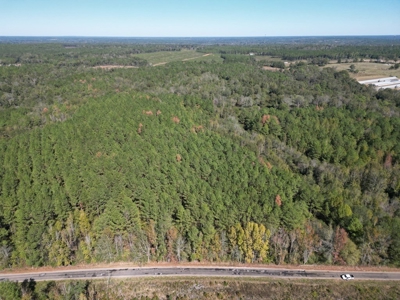 Great Timberland/Hunting Tract in Southwest Mississippi - image 15
