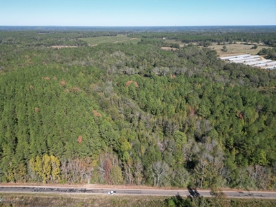 Great Timberland/Hunting Tract in Southwest Mississippi - image 11