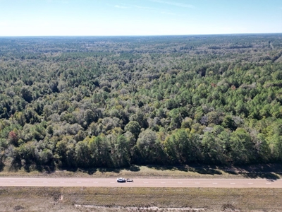 Great Timberland/Hunting Tract in Southwest Mississippi - image 4