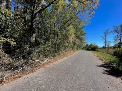Great Timberland/Hunting Tract in Southwest Mississippi - image 17