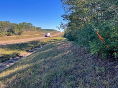 Great Timberland/Hunting Tract in Southwest Mississippi - image 7