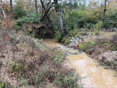 Fantastic Homesite, Recreational/Hunting Tract in SW MS! - image 1