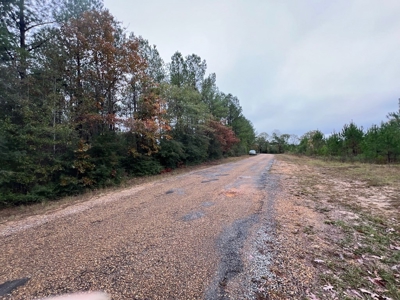 Fantastic Homesite, Recreational/Hunting Tract in SW MS! - image 2