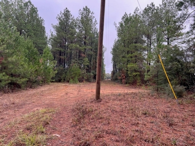 Fantastic Homesite, Recreational/Hunting Tract in SW MS! - image 3