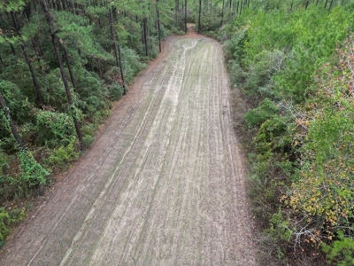 Fantastic Homesite, Recreational/Hunting Tract in SW MS! - image 7