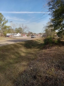 Commercial Land For Sale Jefferson Davis County Prentiss MS - image 1