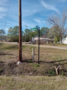 Commercial Land For Sale Jefferson Davis County Prentiss MS - image 3