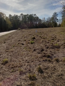Commercial Land For Sale Jefferson Davis County Prentiss MS - image 4