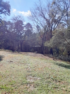 3/3/3 Country Home On 3 Acres Winnsboro, Texas - East Of Dfw - image 8