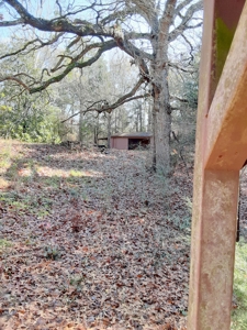 3/3/3 Country Home On 3 Acres Winnsboro, Texas - East Of Dfw - image 11