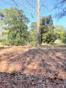 3/3/3 Country Home On 3 Acres Winnsboro, Texas - East Of Dfw - image 15
