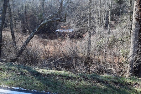 Offering #1 - 5844 Indian Valley Rd., Willis, VA 24380 - image 3