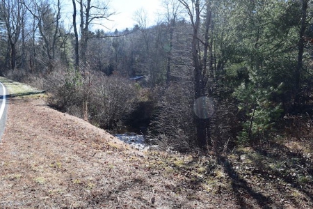 Offering #1 - 5844 Indian Valley Rd., Willis, VA 24380 - image 6