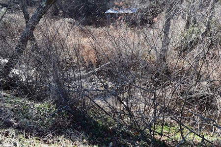 Offering #1 - 5844 Indian Valley Rd., Willis, VA 24380 - image 4