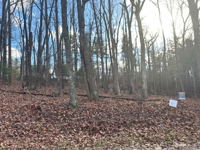 Offering #7 - Hickory Hollow Ln, Copper Hill, VA 24079 - image 2