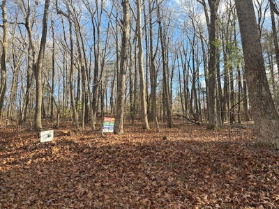 Offering #7 - Hickory Hollow Ln, Copper Hill, VA 24079 - image 1