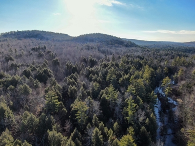 10 Acres of Maine Land for Sale - image 7