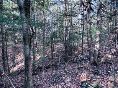 10 Acres of Maine Land for Sale - image 24