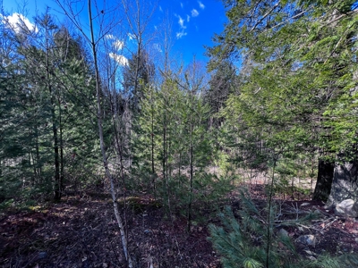 10 Acres of Maine Land for Sale - image 21