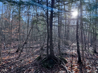 10 Acres of Maine Land for Sale - image 19