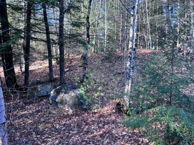 10 Acres of Maine Land for Sale - image 15
