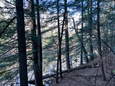 10 Acres of Maine Land for Sale - image 16