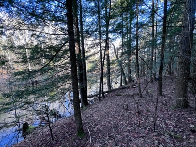 10 Acres of Maine Land for Sale - image 18