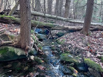 10 Acres of Maine Land for Sale - image 29