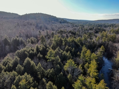 10 Acres of Maine Land for Sale - image 6