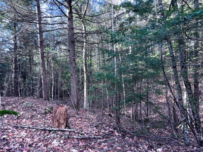 10 Acres of Maine Land for Sale - image 25