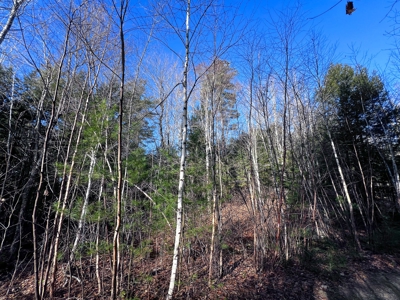 10 Acres of Maine Land for Sale - image 12