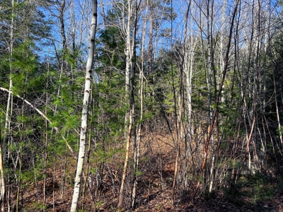 10 Acres of Maine Land for Sale - image 13