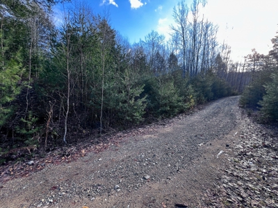 10 Acres of Maine Land for Sale - image 10