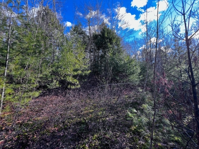 10 Acres of Maine Land for Sale - image 20