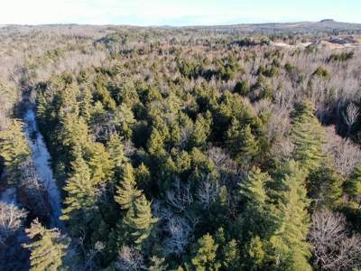10 Acres of Maine Land for Sale - image 5
