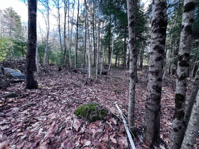 10 Acres of Maine Land for Sale - image 23